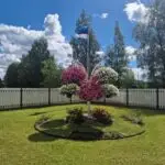 Galerii 20240623 120947