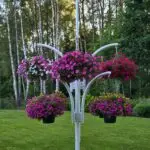 Galerii polish 20250706 163316513