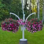 Galerii polish 20250706 163857365