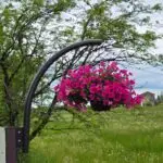 Galerii polish 20250706 164240205