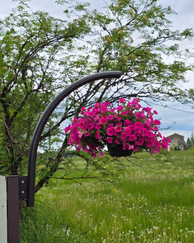 polish 20250706 164240205