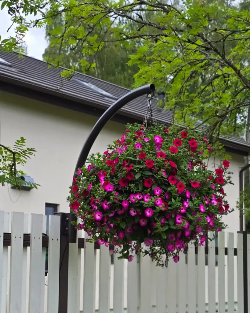 polish 20250706 164748667