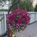 Galerii 20250809 204142