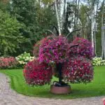 Galerii 20250906 190125