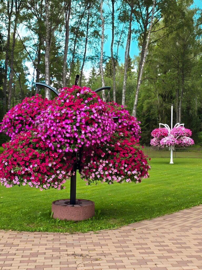 521372876 122146523966790693 2907861490759380843 n