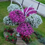 Galerii whatsapp image 2025 04 10 at 12.32.17 31e729f9